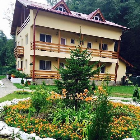 فندق Pensiunea La Padure Cheia, Prahova Măneciu المظهر الخارجي الصورة