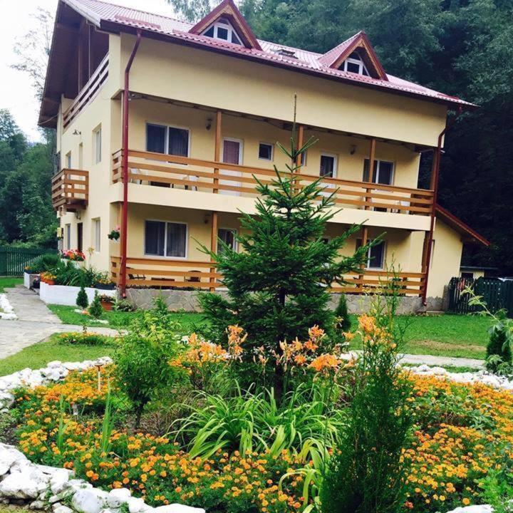 فندق Pensiunea La Padure Cheia, Prahova Măneciu المظهر الخارجي الصورة