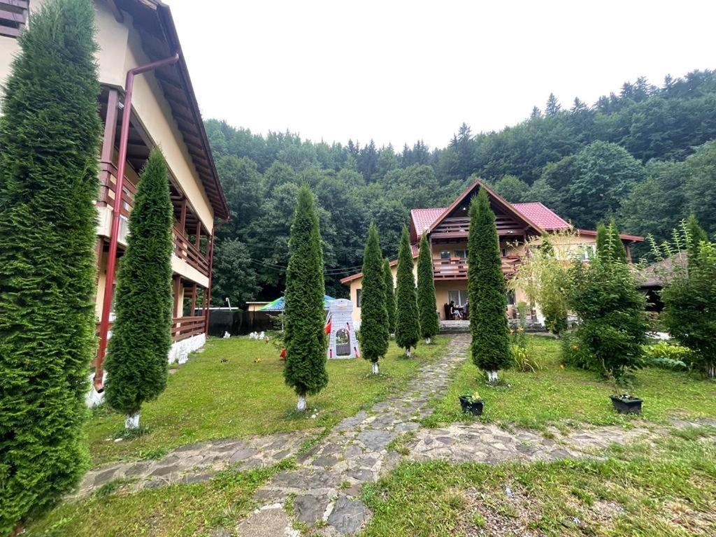 فندق Pensiunea La Padure Cheia, Prahova Măneciu المظهر الخارجي الصورة