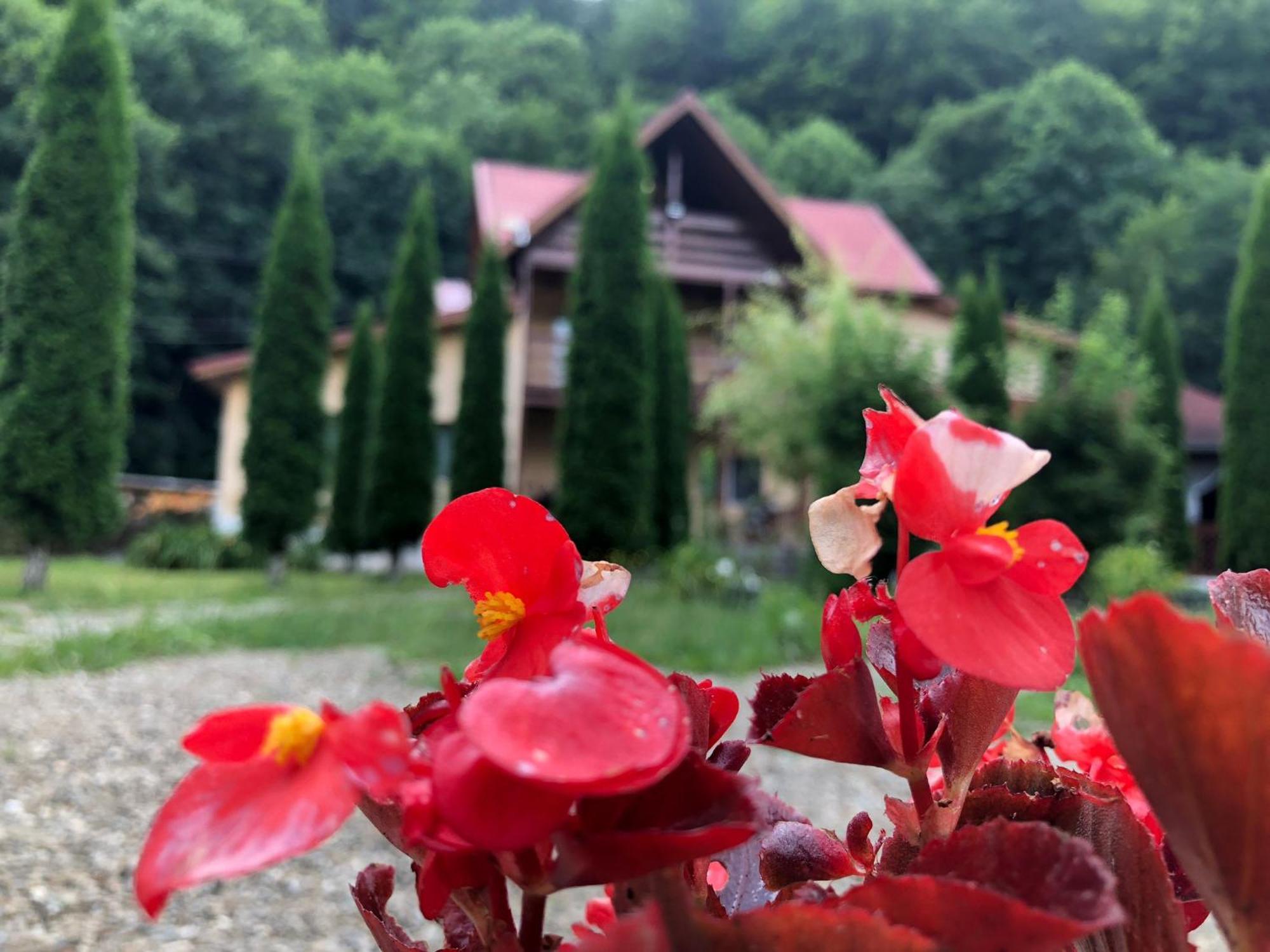 فندق Pensiunea La Padure Cheia, Prahova Măneciu المظهر الخارجي الصورة